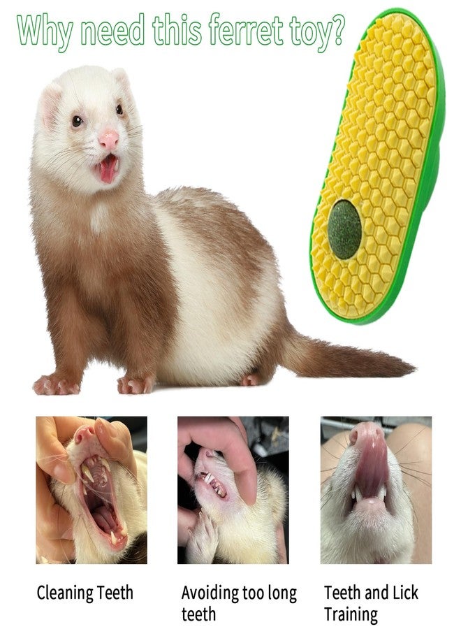 OOXYG Ferret Toys, Hay Ball for Ferret Lick, Safe Ferret Chew Enrichment Toys Teeth Cleaning Dental, Edible Ferret Wall Treats Ball, Easy to Clean - Image 2